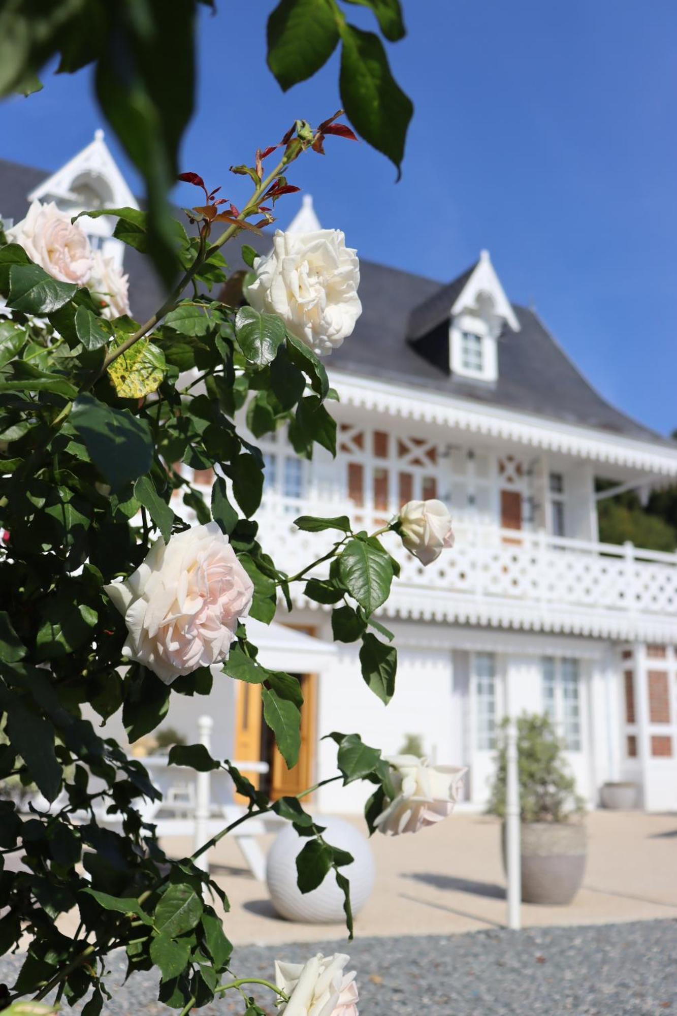 White House, Maison D'Hotes Villequier Eksteriør billede